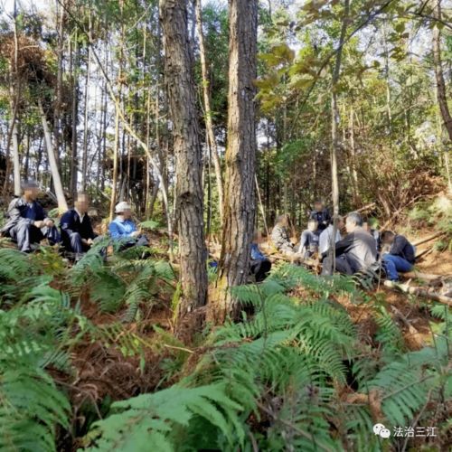 寨佬 聯合,三江獨峒鎮一起跨省林木糾紛案順利解決