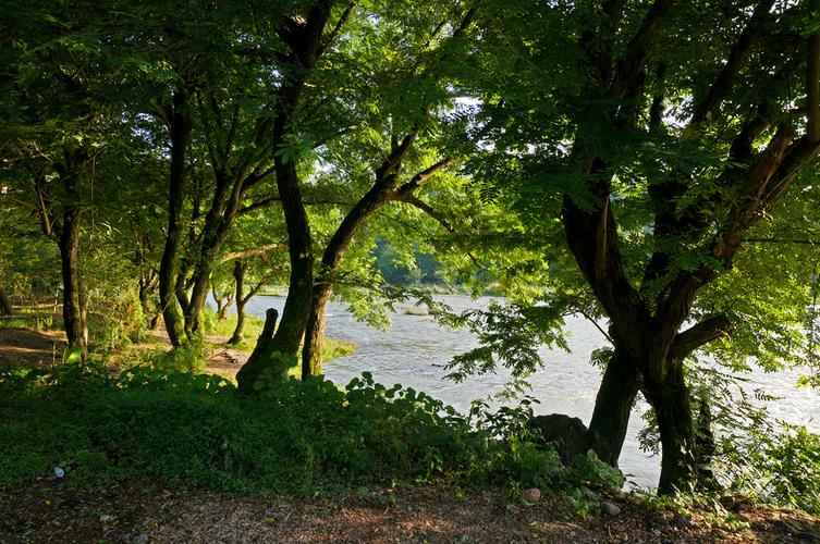 【仙都 - 晨昏 水流 林木攝影圖片】風光攝影_石城人_太平洋電腦網