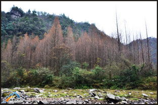 終篝火盛宴,穿越油草河 活動回顧
