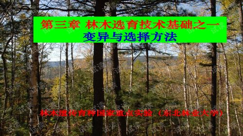 育種學(xué)課件第三章林木選育技術(shù)基礎(chǔ)之一.ppt 教育文檔類資源 csdn下載