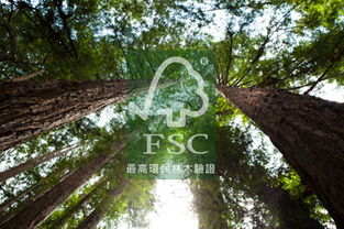 只要999元 免運(yùn)費(fèi) ,即可享有 三層綿柔抽取衛(wèi)生紙一箱,加贈(zèng)三層綿柔抽取衛(wèi)生紙一包
