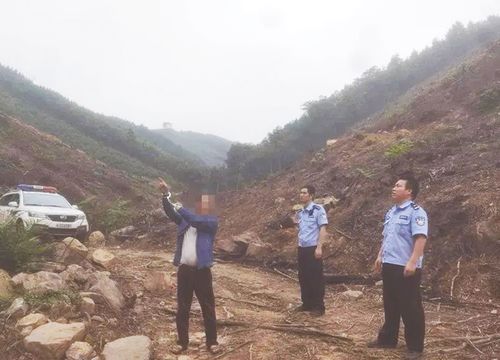 未經(jīng)許可濫伐林木 8名嫌疑人主動(dòng)投案