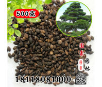 產(chǎn)品庫(kù)