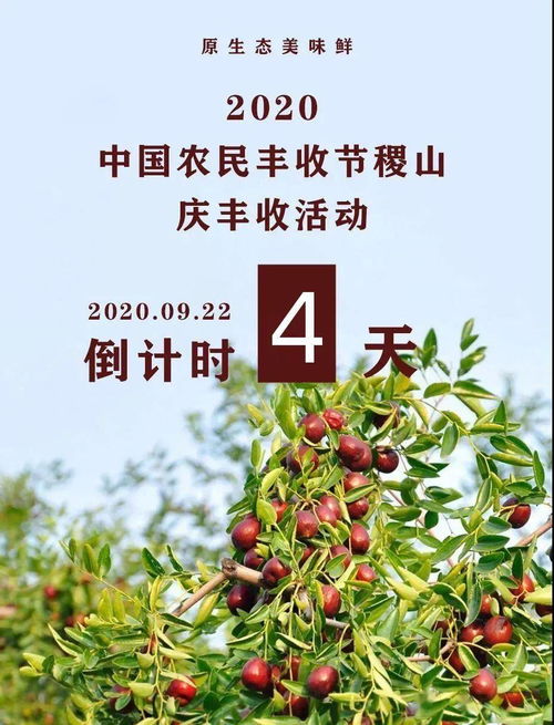 2020年農(nóng)民豐收節(jié)來臨,稷山這些農(nóng)產(chǎn)品要火了