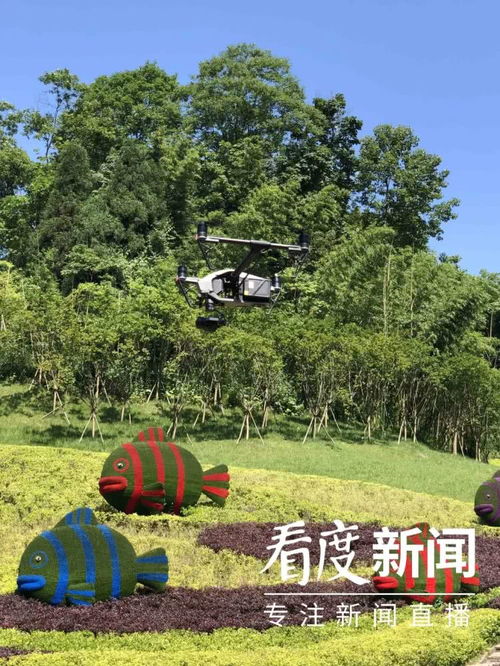 三月,想去賞賞春