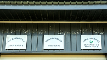 湖北鄖陽:香菇產(chǎn)業(yè)喜添“國”字招牌