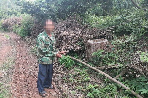 三更半夜,在寂靜的山林 興業三個男子正在做見不得光的事