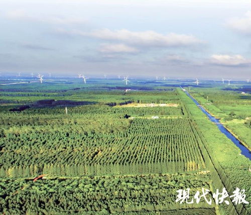 江蘇林木種苗和林下經濟產業總值已達746億元