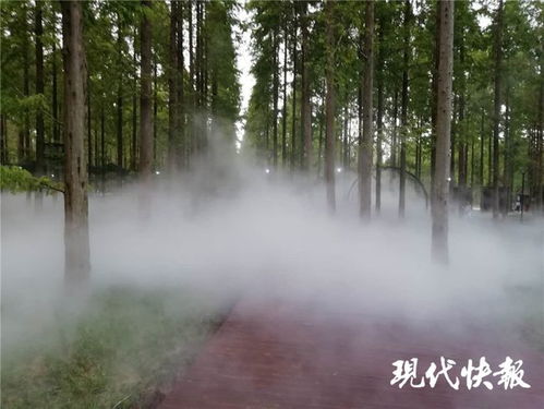 江蘇林木種苗和林下經濟產業總值已達746億元