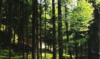 圖說巴中美景 | 林木蔥,清風爽,森林康養天馬山