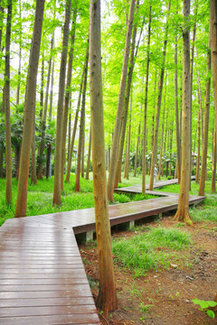 田園棧道
