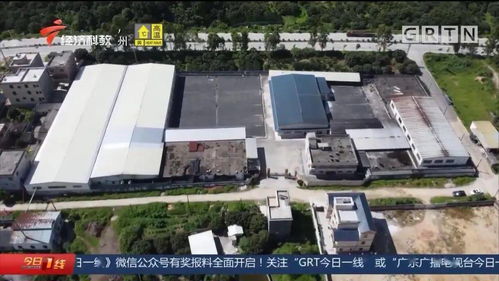 叔惡 饒平一食品廠被查實有污水泄漏,養殖戶損失百萬求助無下文