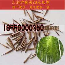 【竹子種子】最新最全竹子種子 產品參考信息