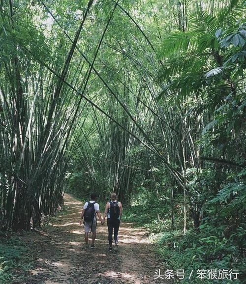 想清凈幾天,住進泰國原始雨林里的水上度假屋,600元就夠了