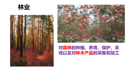 湘教版地理八年級上冊第四章第一節(jié) 農(nóng)業(yè) 課件(共51張PPT)