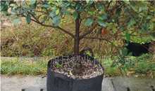無紡布植樹袋、無紡布林木容器袋(65CM高*40CM口徑)_農副產品_世界工廠網中國產品信息庫