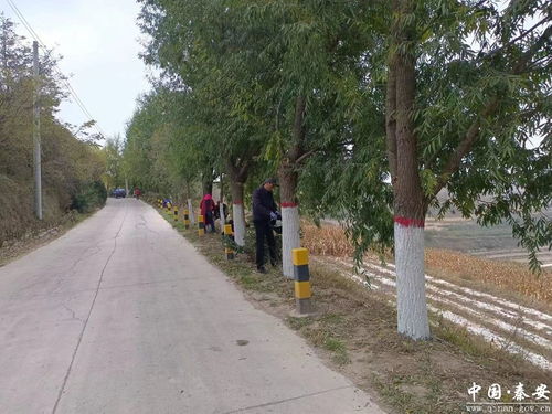 魏店鎮(zhèn)扎實(shí)做好秋季林木管護(hù)工作