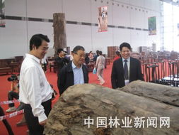 林木產品閃耀中國 東盟博覽會